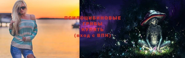 a pvp Алексин