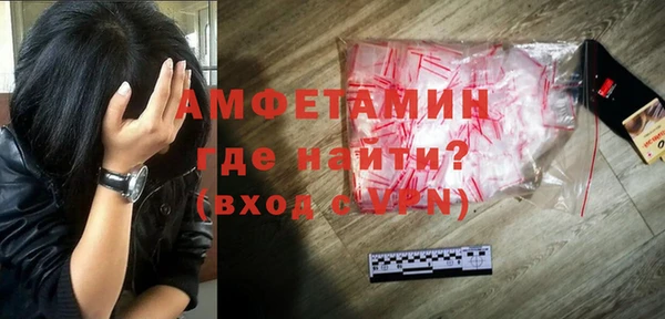 стаф Алзамай