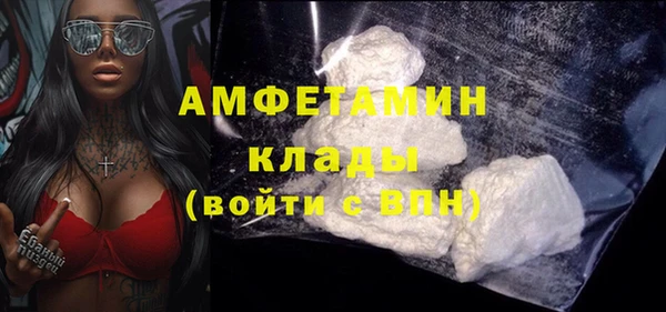 стаф Алзамай