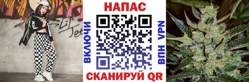 Шишки марихуана ГИДРОПОН  MEGA ссылка  Владикавказ 